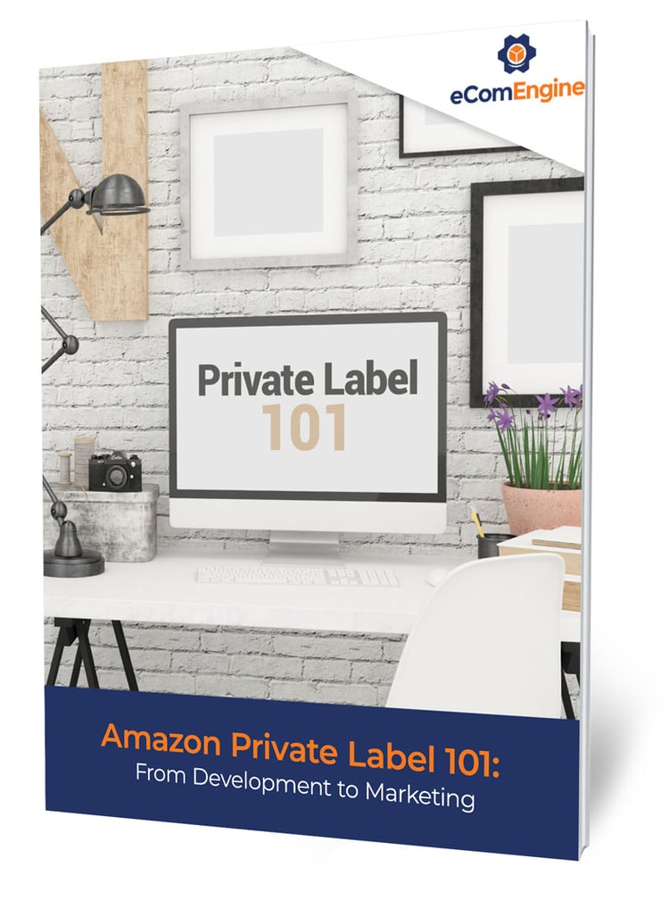 Amazon Private Label 101 From Development to Marketing eBook