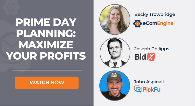 Image of presenters with text, "Prime Day planning: maximize your profits"
